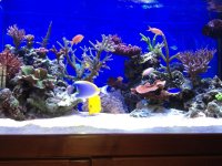 IMG_0225.jpg