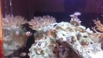 WIN_20140402_223020.jpg