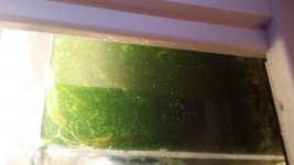 20140608_131334.jpg