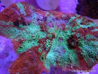 19-DSCN2371.jpg