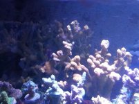 0402 2.jpg