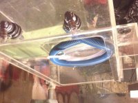 IMG_3056[1].jpg