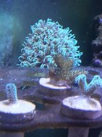 20140319_192638.jpg