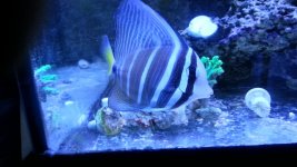 20150124_165805.jpg