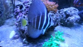 20150124_165735.jpg