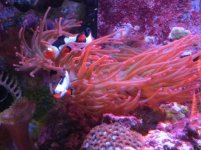 Img_1472.jpg