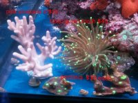 IMG_20140609_051557.jpg