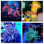 IMG952014061095042404.jpg