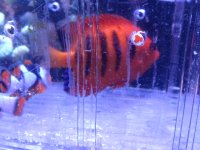 IMG_1862.JPG