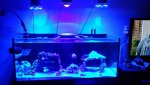 20140404_134333_resized.jpg