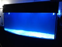 IMG_0753.jpg