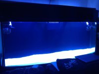 IMG_0829.jpg