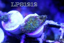 IMG_8973.JPG