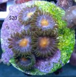 20150125_210237.jpg