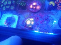 CAM00489.jpg