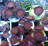 20150125_210435.jpg