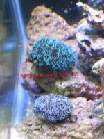 20140423_085355.jpg