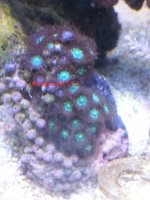20140423_085402.jpg