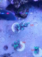 20140423_191817.jpg