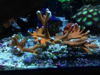 IMG_2496.jpg
