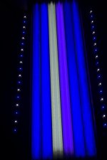 IMG_6805.jpg