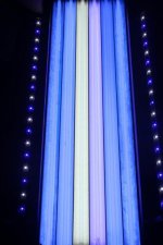 IMG_6806.jpg
