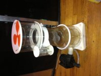 IMG_0548[1].jpg