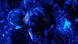 20140730_160505.jpg