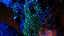 20140730_160644.jpg