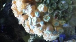 20140730_160938.jpg