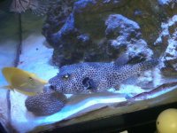 IMG-20140418-00326.jpg