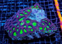 IMG_1399.jpg