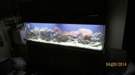 IMG_2172.jpg
