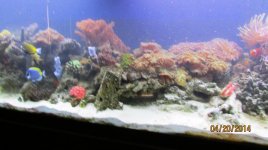 IMG_2176.jpg