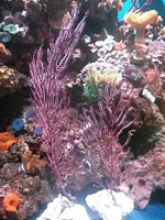 IMG_20140901_130801.jpg