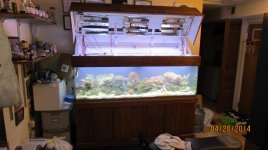 IMG_2185.jpg