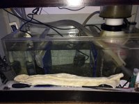 IMG_0304.jpg