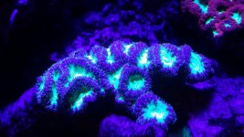 20140923_120817.jpg
