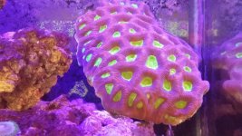 20140923_122155.jpg