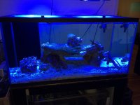 IMG_0307.jpg