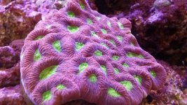 20140923_123509.jpg