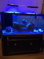 IMG_0308.jpg
