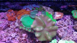20140923_124214.jpg