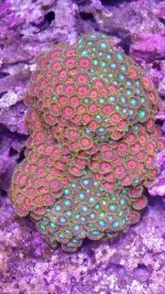 20140923_124254.jpg