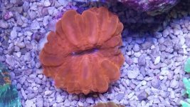20140923_124510.jpg