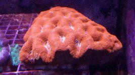 20140923_130133.jpg