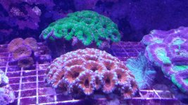 20140923_130222.jpg
