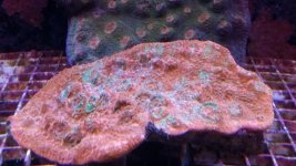 20140923_130521.jpg