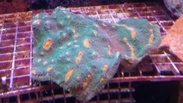 20140923_130534.jpg