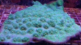 20140923_130545.jpg